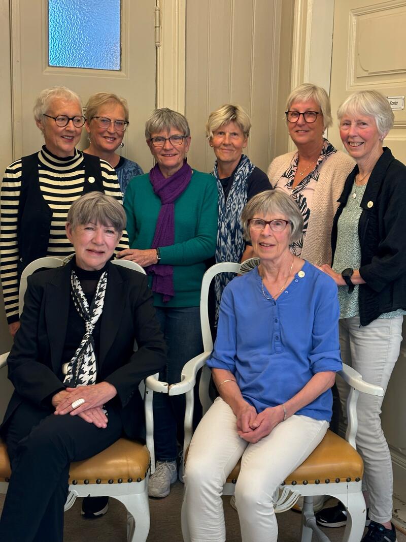 Styret i seniorsykepleiere Trøndelag. Bak fra venstre Geirunn Bjørkelo, Aud Rød, Kari Helene Alstad, Kari Grande Andresen, Anne Britt Johansen og Ragnhild Brå Vardehaug. Foran fra venstre, Britt Aass, styrets leder og Berit Mikkelsen. 